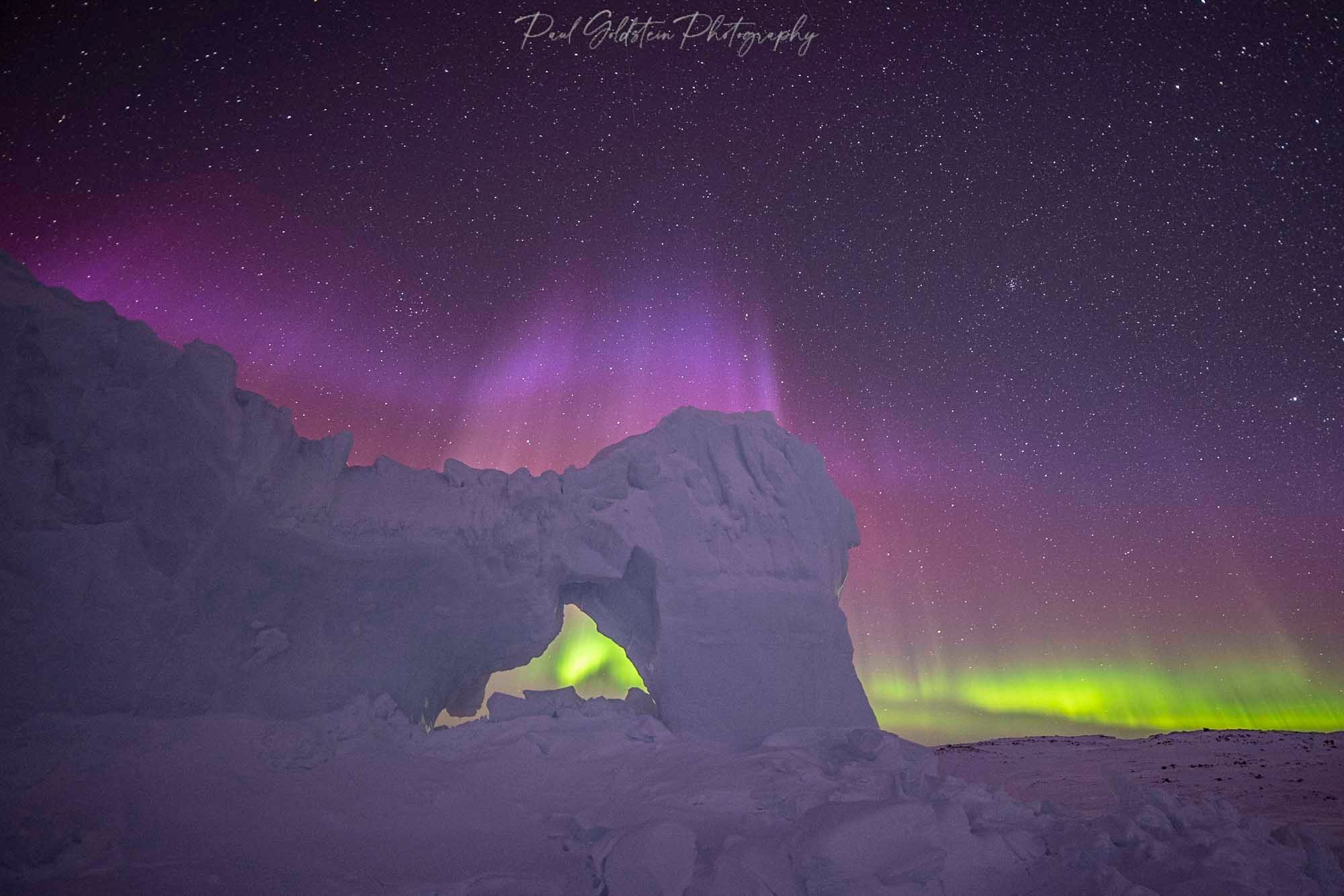 Ours polaires et icebergs au printemps - T 10 - Paul Goldstein - Arctic Kingdom - Ours polaires - Faune arctique9-1